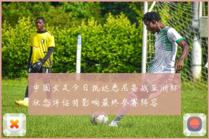 中国女足今日抵达悉尼备战亚洲杯状态评估将影响最终参赛阵容
